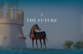 جولة الجياد العربية “مستقبل الخيل” تنطلق في 2024 ابتداء من قطر